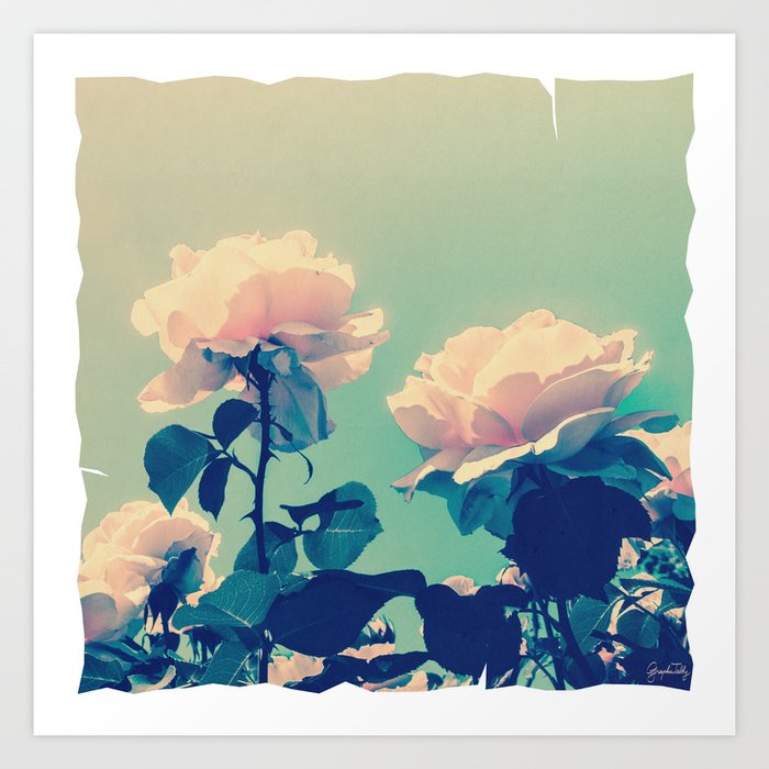 Soft Baby Pink Roses with Mint Blue Sky Backgroud Art Print