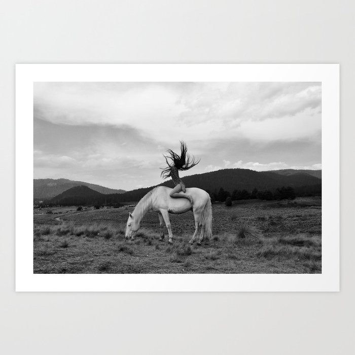 Wild horses couldn't take you from me; young woman on a white horse throwing her hair black wilderness black and white photograph - photography - photographs Art Print