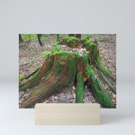 Heart of the Forest Mini Art Print
