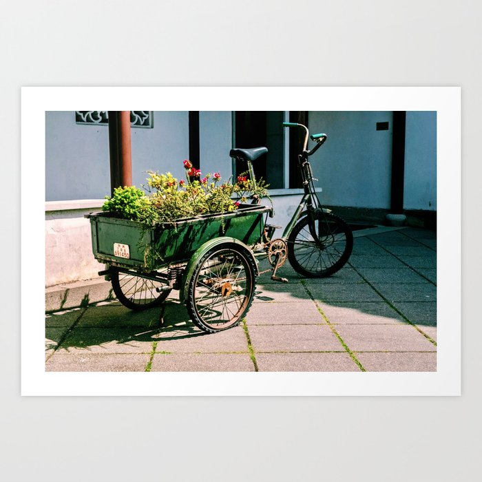 Photograph of a Tricycle with a Large Basket of Flowers in the