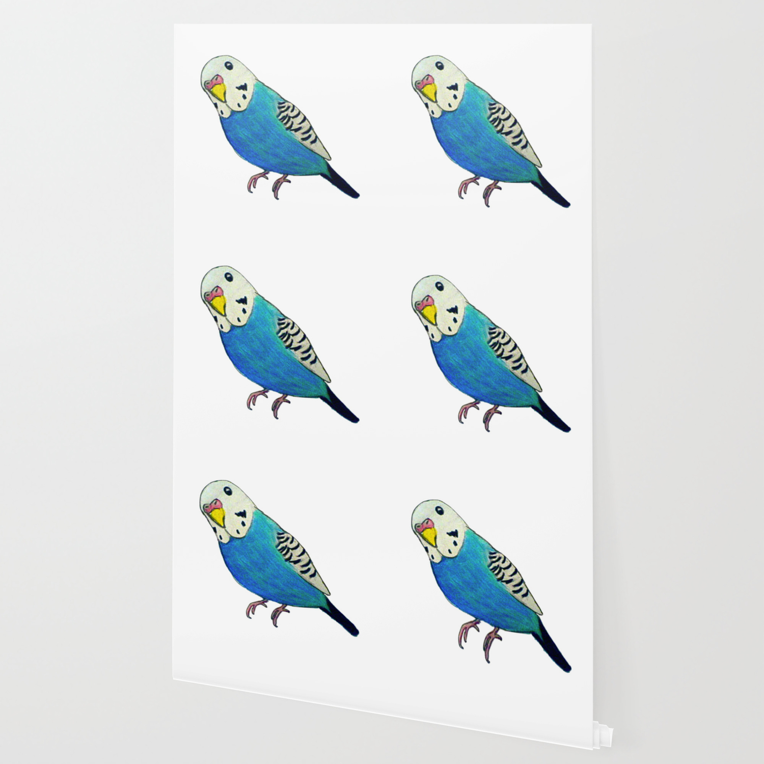 Blue Budgie Wallpaper By Parakeetart Society6