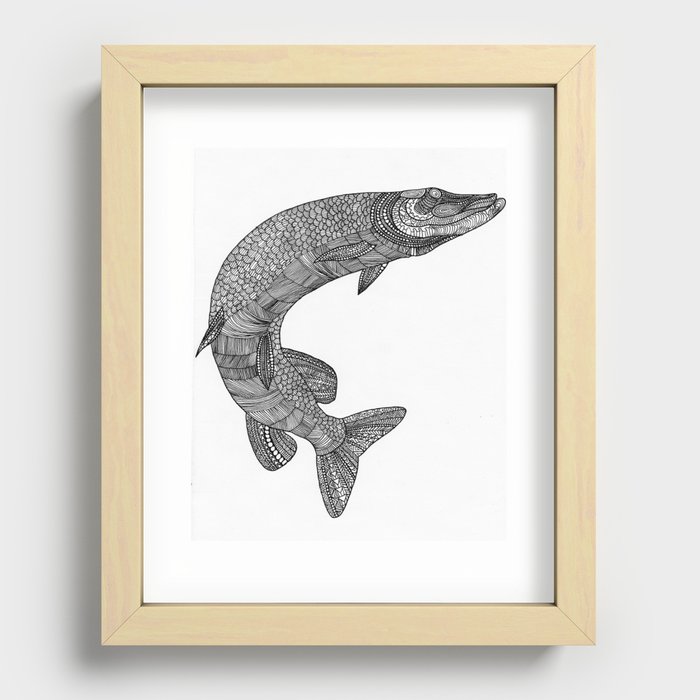 Northern pike - Esox lucius Recessed Framed Print