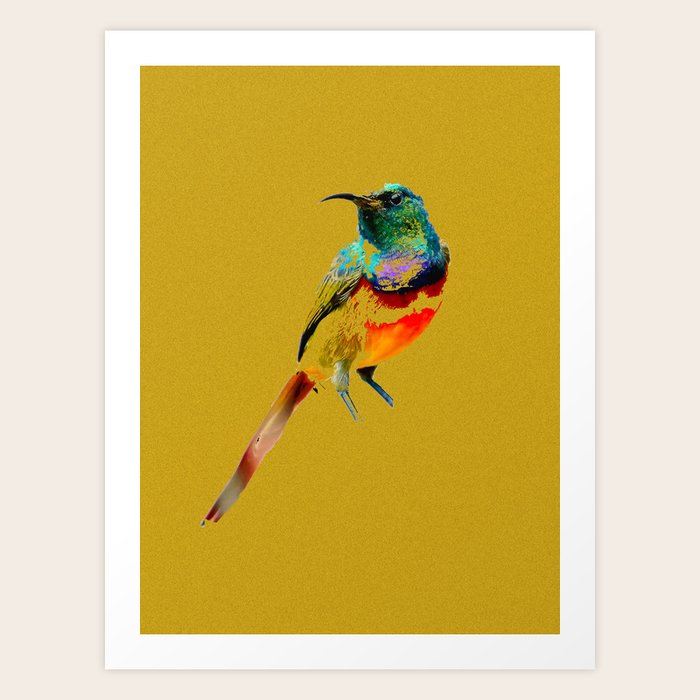 amazon hummingbirds Art Print by andian inka Society6