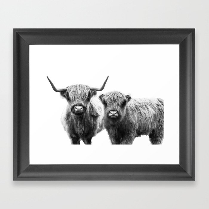 Highland Cattle - Perfect Pair Framed Art Print