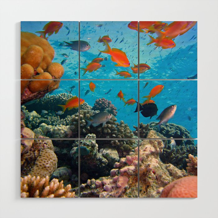 Underwater Photography Coral Reef Wood Wall Art