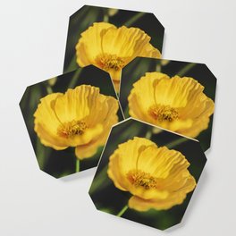 Yellow Poppy Flower Coaster