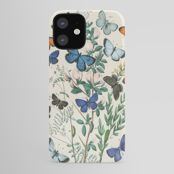 Vintage Scientific Illustration Butterfly Botanical Floral ...