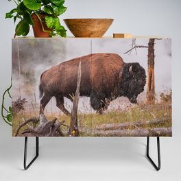 Buffalo In Rain Yellowstone National Park Wildlife Photography Print Credenza