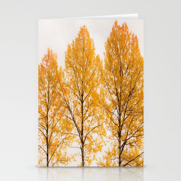 Aspen Trees #decor #society6 #buyart Stationery Cards
