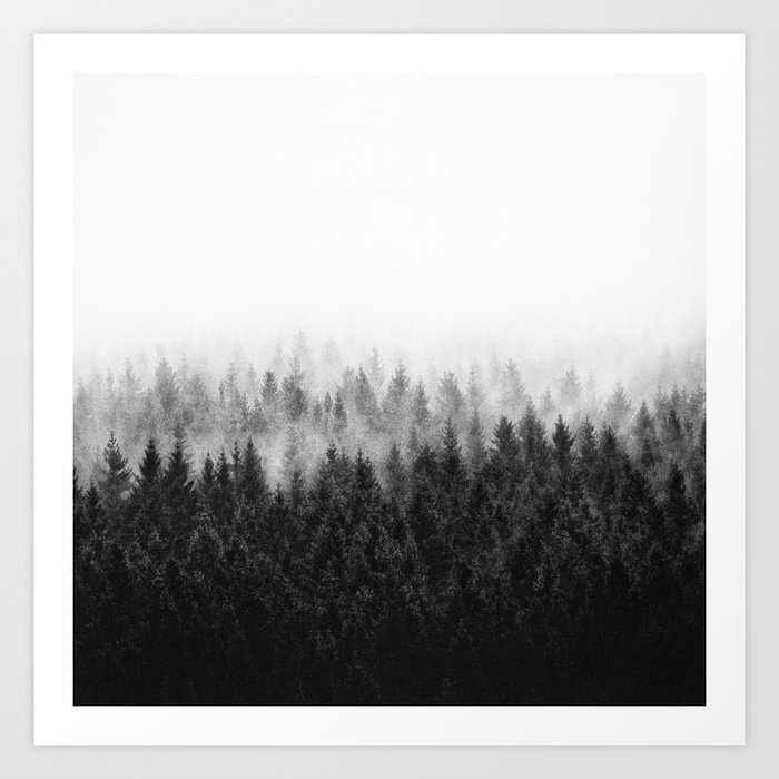 High And Low // Misty Fairytale Wilderness Forest With Cascadia Trees Covered In Magic Fog Art Print