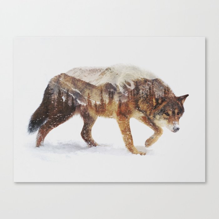Arctic Wolf Canvas Print
