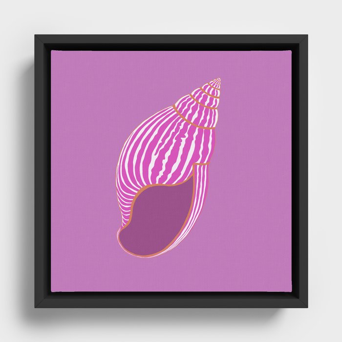 Sea Shell Framed Canvas