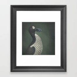 Great Auk  (Pinguinus impennis) Framed Art Print