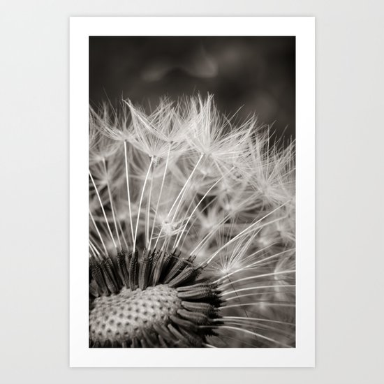 KALI LAINE DESIGNS Art Print