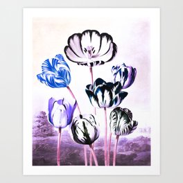 Blue Purple Teal Tulips : Temple of Flora Art Print