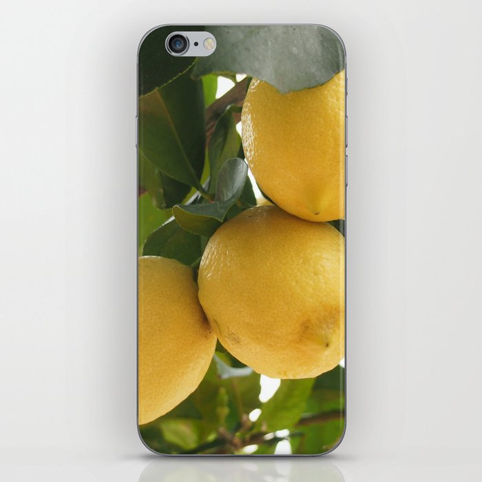 Lemon Tree iPhone Skin