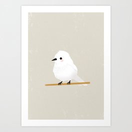 Little White Bird Art Print