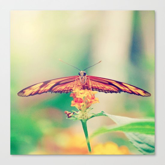 Butterfly retro Canvas Print