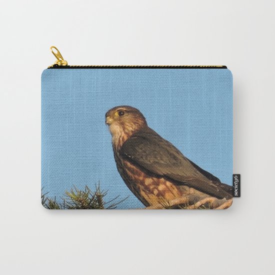 Cooper's Hawk in Evening Light Carry-All Pouch