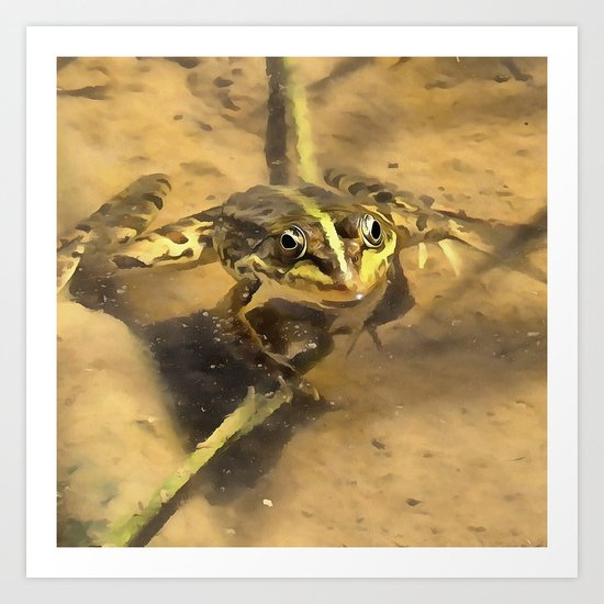 Marsh Frog Art Print
