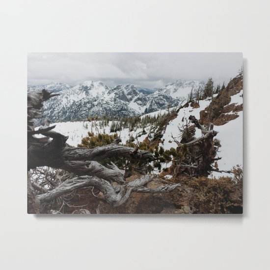Wenatchee National Forest Metal Print