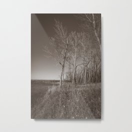 Downstream Campground, North Dakota 32 Metal Print | Black And White, Northdakota, Garrisondam, Autumn, Missouririver, Fall, Photo 