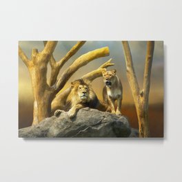 Lions of Lincoln Park Metal Print