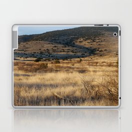 Skeleton in the Arizona Desert Laptop & iPad Skin