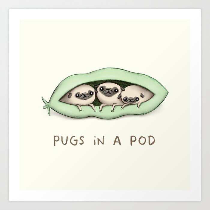 Pugs in a Pod Art Print