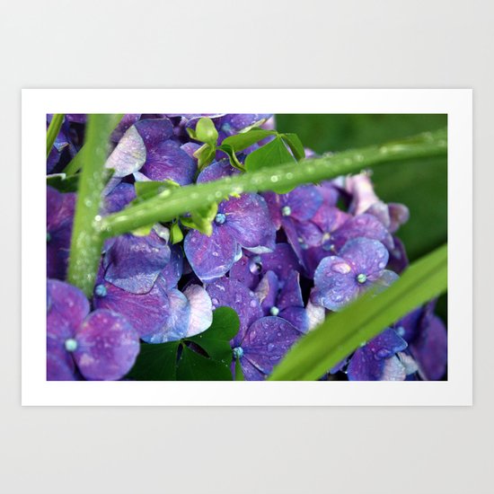 Drops 01 Art Print
