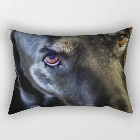 I Have Eyes For You Rectangular Pillow