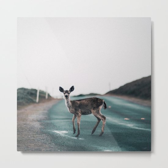 Lone Wanderer Metal Print