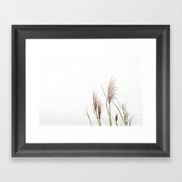 Pampas Grass Framed Art Print