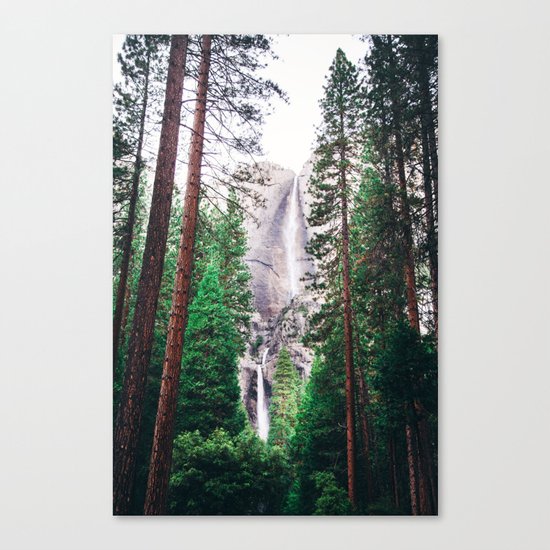 Waterfall amongst trees Canvas Print