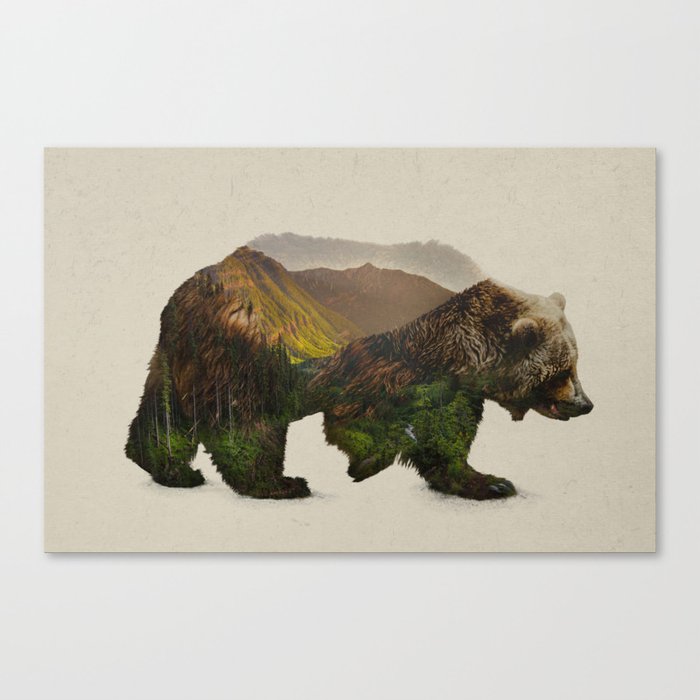North American Brown Bear Canvas Print