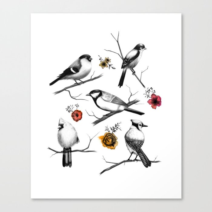 BIRDS & FLOWERS Canvas Print