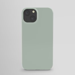 Light Sage Green Solid iPhone Case