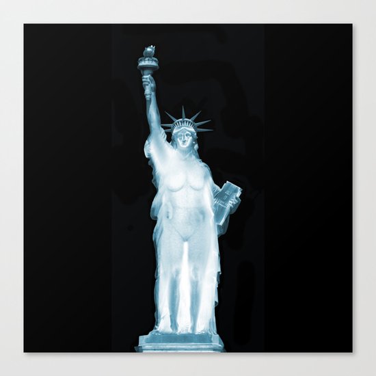 Land of the Free? Canvas Print