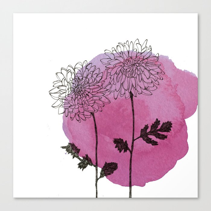 chrysanthemum Canvas Print