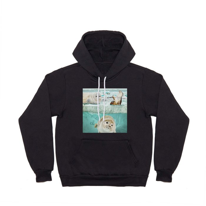 Arctic Expedition Hoody