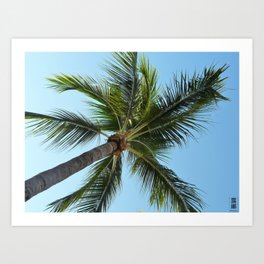 Under a palm tree in Puerto Vallarta Art Print