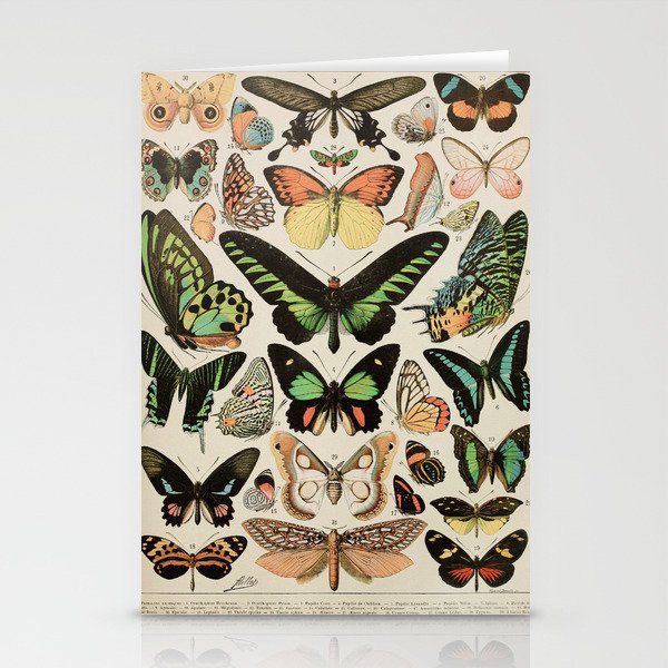 Papillon II Vintage French Butterfly Chart by Adolphe Millot Stationery Cards