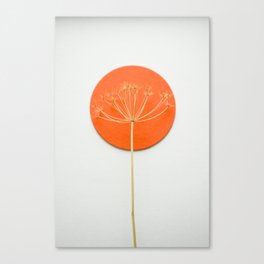 Orange circle and dried flower Canvas Print