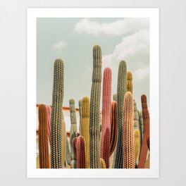 Desert tones Art Print