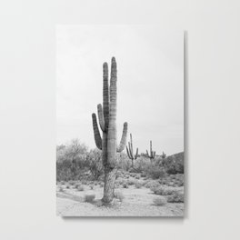 Desert Cactus BW Metal Print