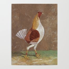 Fighting Cocks, a Pale-Breasted Fighting Cock, Facing Right  Poster