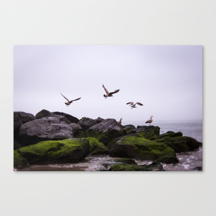 Beach Birds in Flight Canvas Print