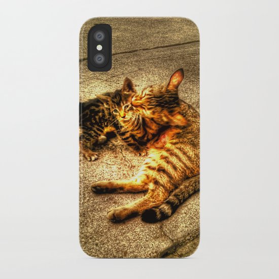 Cats iPhone Case
