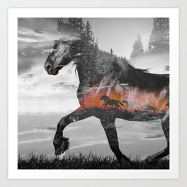Black Horse Sunset Run Art Print