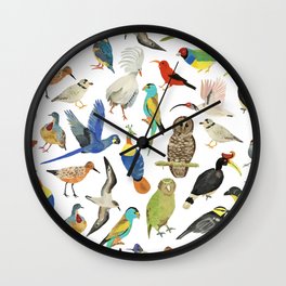 Endangered Birds Around the World Wall Clock | Birds, Kingfisher, Curated, Parrot, Paradise, Animal, Painting, Sky, Wildlife, Air 